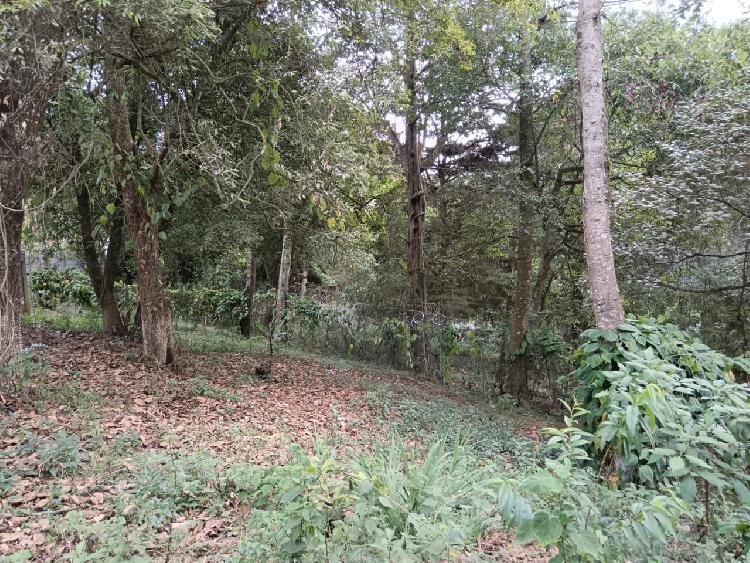 BONITO TERRENO EN VENTA EN SAN LUCAS