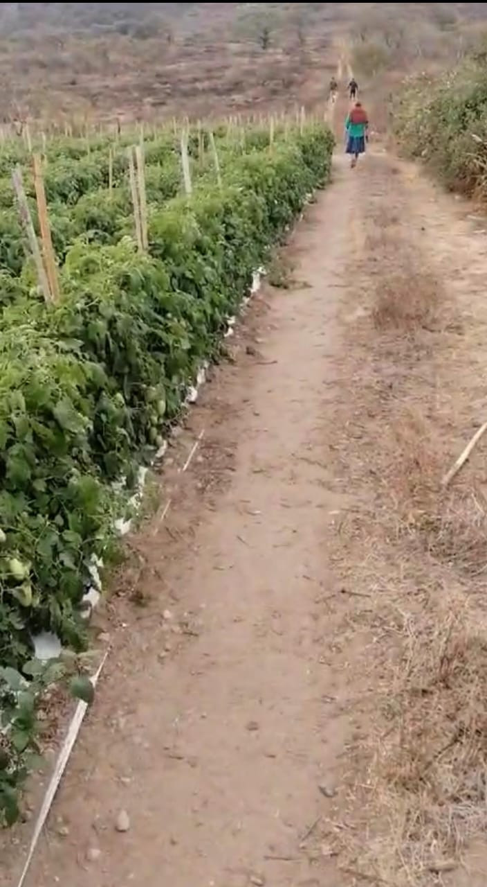  FINCA EN VENTA CON 293,500 Mts2 CON RÍO iNTERMEDIO 