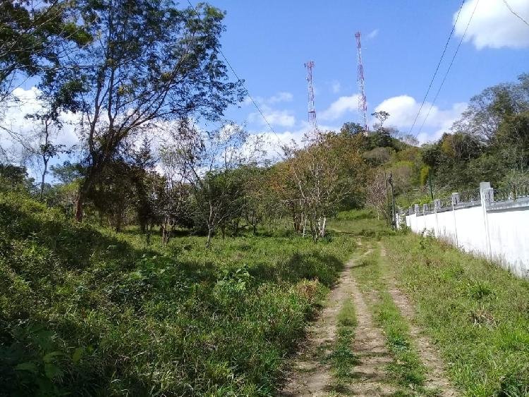 VENDO 31 MANZANAS EN PETEN (PROYECTO O INVERSIÓN). - 1