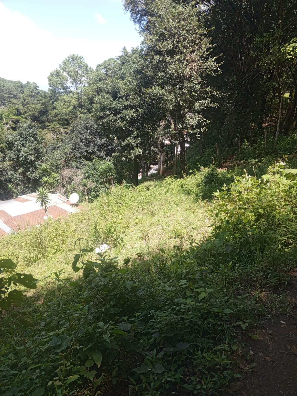TERRENO EN SAN ANDRESITO, LO DE COY 