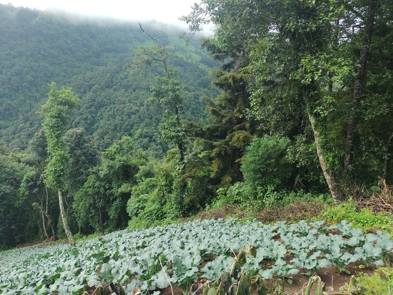 Finca en venta, Chimaltenango,  kilómetros 65, 