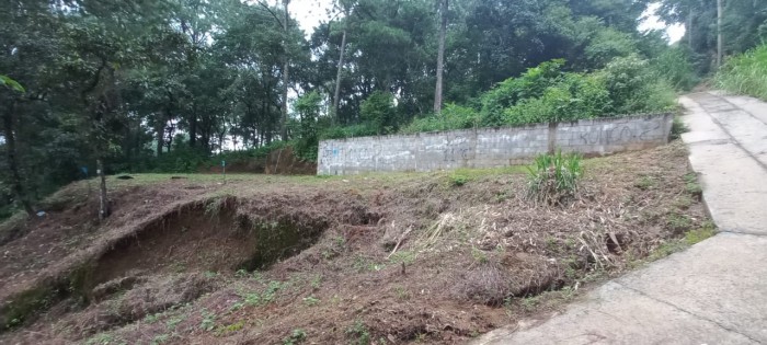 Terreno en venta en el Encinal Tronco 2