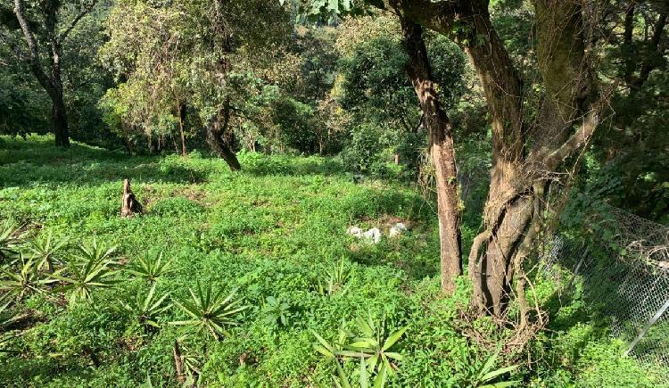 Oportunida de compra en el Hato, bonito terreno.