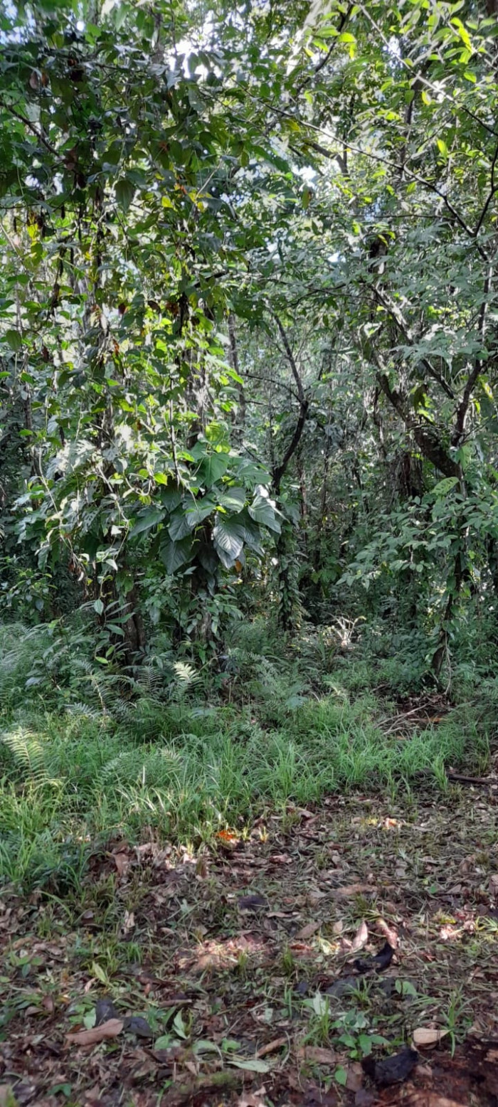 PROPIEDAD EN #VENTA EN PUERTO BARRIOS, IZABAL