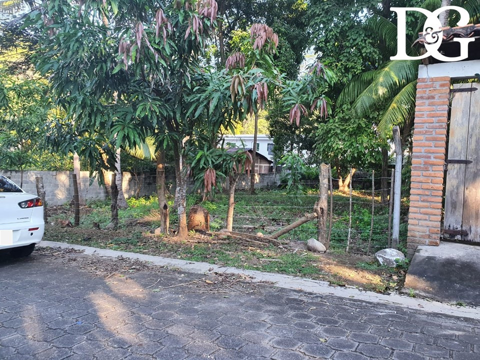 VENDO TERRENO PLANO EN ATAMI