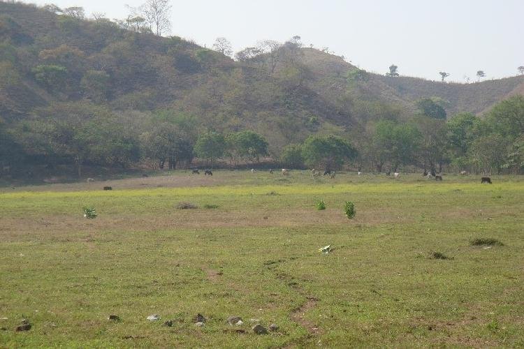 Terreno Barrio La Cienaga, Municipio Gualan, Zacapa 