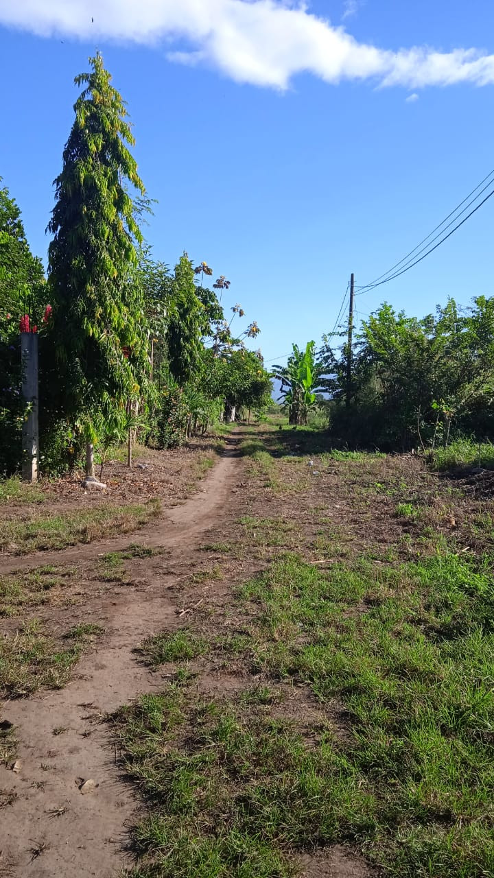 Lotes en venta Escuintla 