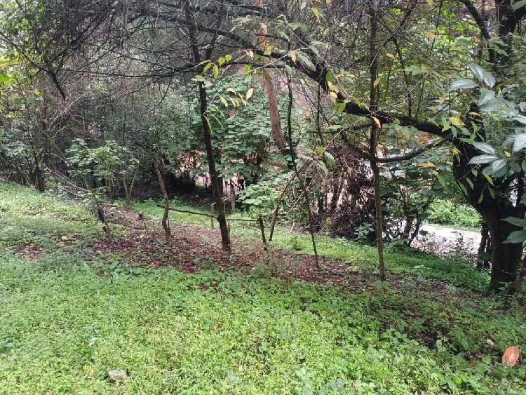 TERRENO EN VENTA SAN BARTOLOME MILPAS ALTAS - 1