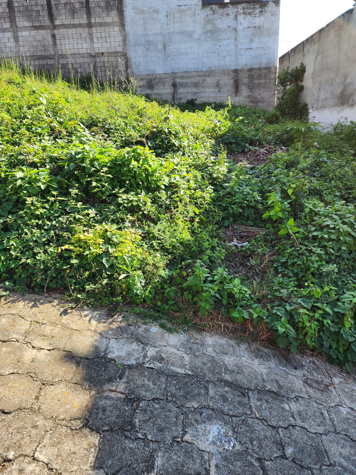 TERRENO REESIDENCIAL  LAS PERLAS 
