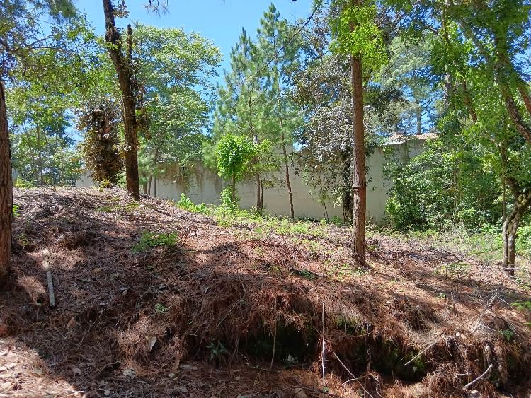 TERRENO A LA VENTA EN LABOR DE CASTILLA