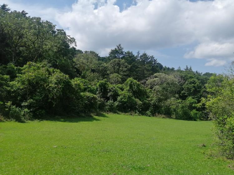 Terreno para desarrollo