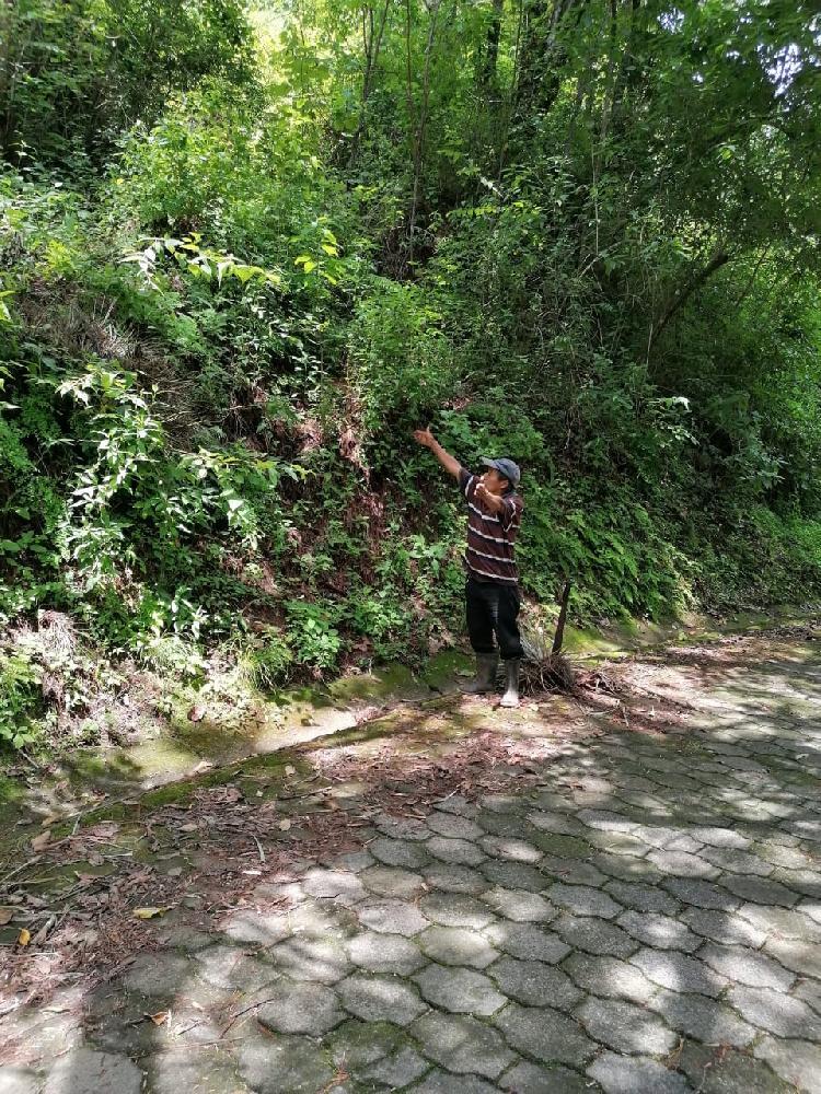 Venta de terreno en El Encinal, Tronco 8 Mixco