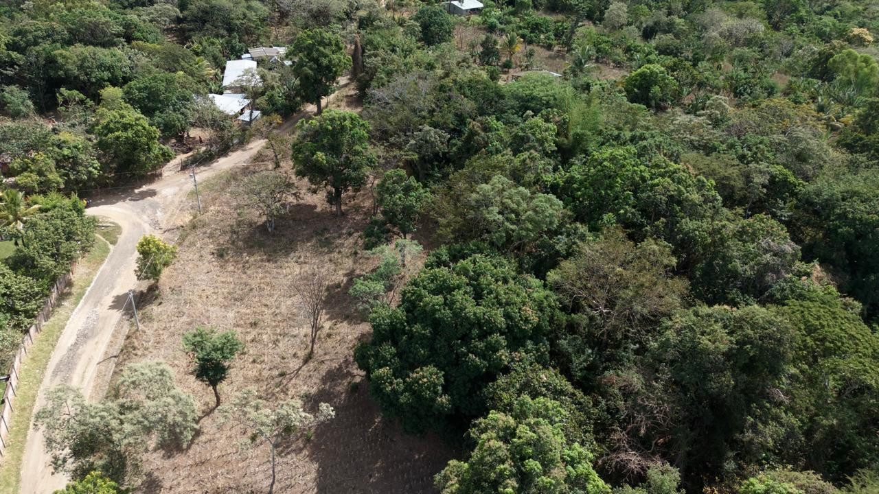 Terreno en venta en Primavera Santa Ana