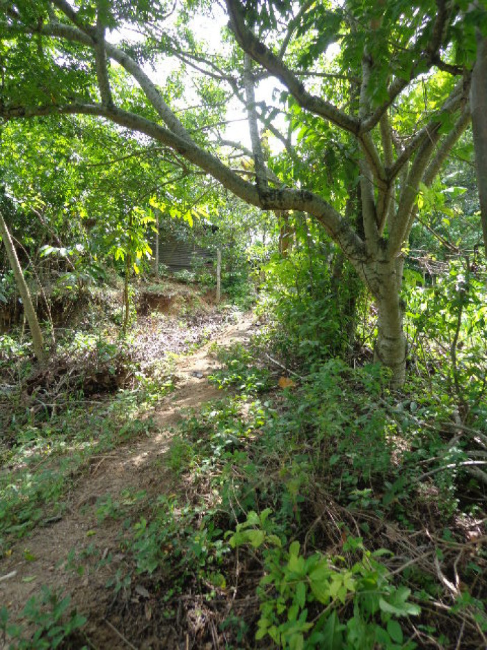 Terreno Escuintla Tiquisate 