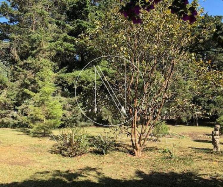TERRENO EN VENTA EN CARRETERA AL SALVADOR KM 22.5