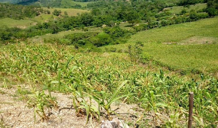 Terreno Aldea Peshja, Municipio La Union, Zacapa 