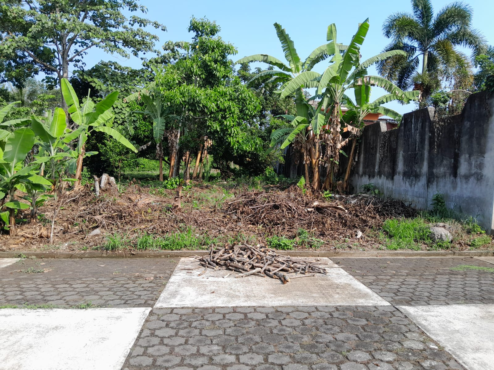 Lotificacion el olimpo