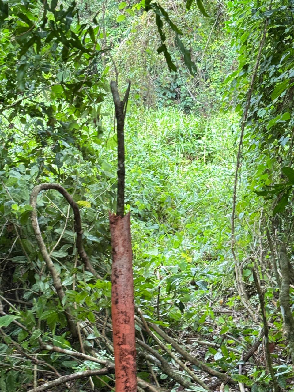 Terreno en venta en Puerto Barrios, Izabal | Residencial