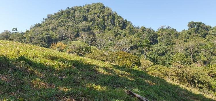 Terreno en Venta con excelente ubicación Puerto Barrios