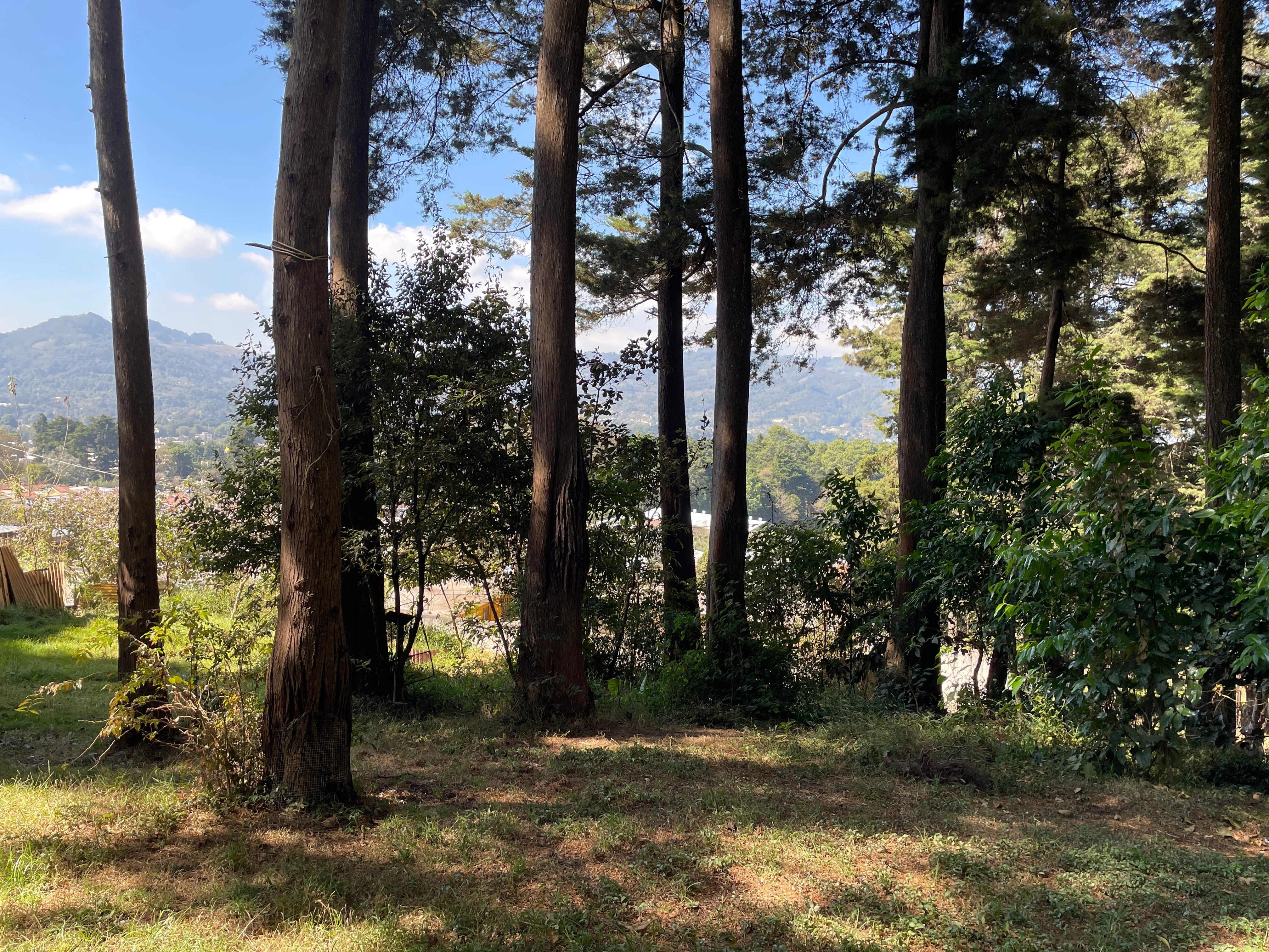 Terreno en San Lucas
