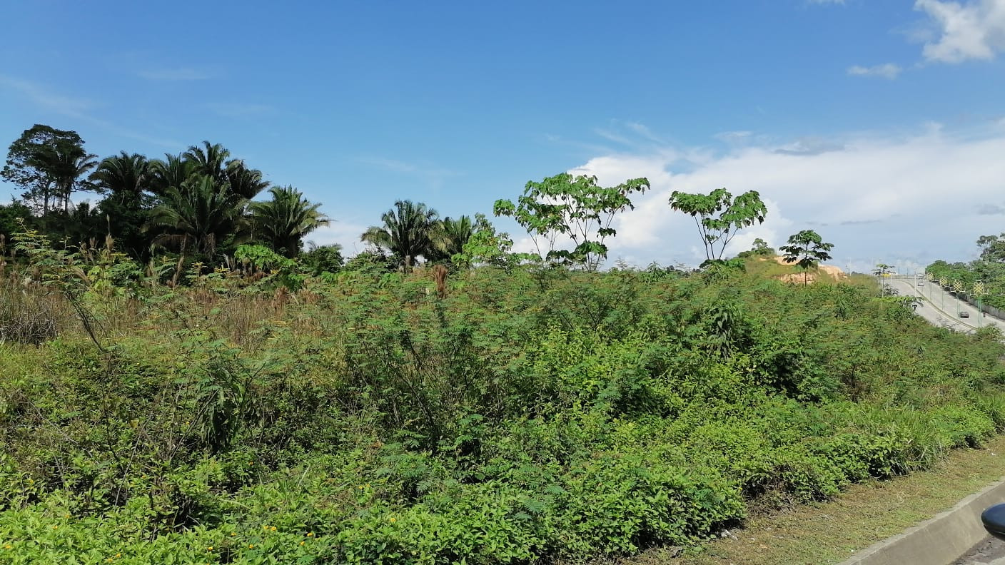 PROPIEDAD EN #VENTA EN PUERTO BARRIOS, IZABAL