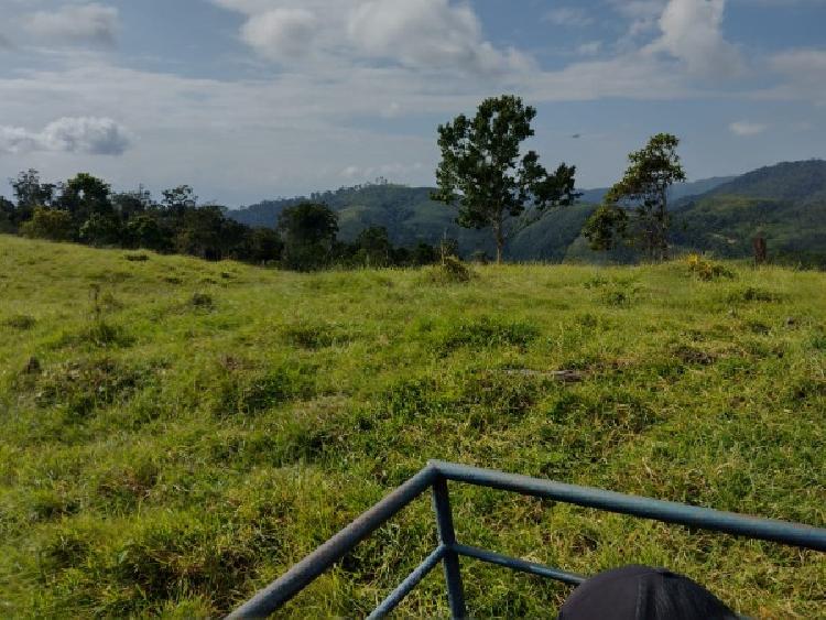 Vendo Finca de 120mnz en Puerto Barrios, Izabal Ref-229 - 18