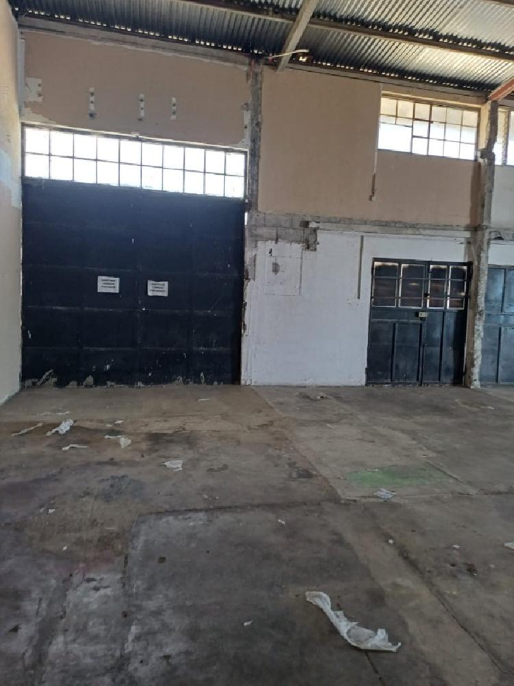 OFIBODEGA EN RENTA ZONA 12/MUNDO INMOBILIARIO - 4