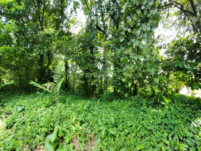 TERRENO PLANO EN VENTA EN MAZATENANGO PARA DESARROLLO - 2