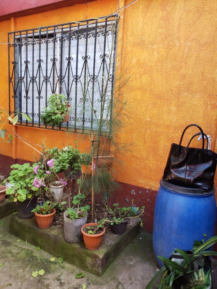 Casa en VENTA, Colonia 1 de mayo — foto 13