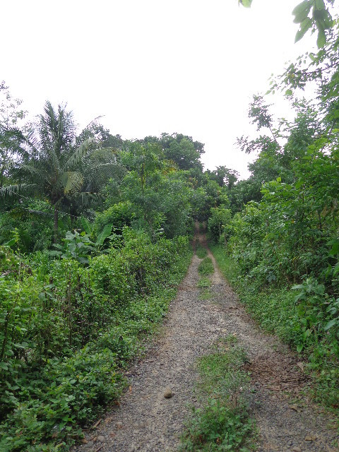 Terreno Escuintla Tiquisate 2 - Image 1