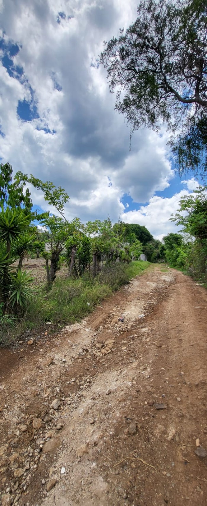 Terreno en venta en Barberena km 60 cerca de carretera - 6