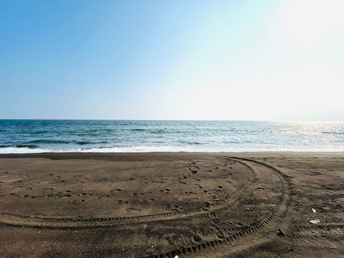 TERRENO GRANDE EN VENTA EN IZTAPA PARA DESARROLLO - 6