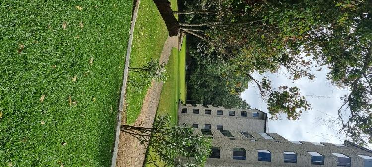 APARTAMENTO EN RENTA ZONA 10 / MUNDO INMOBILIARIO — foto 5