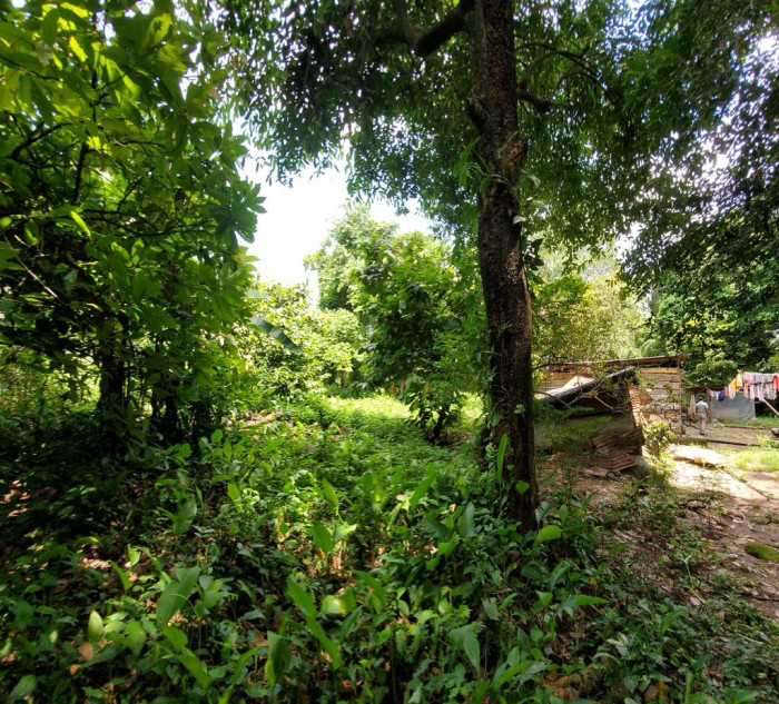 TERRENO PLANO EN VENTA EN MAZATENANGO PARA DESARROLLO - 3