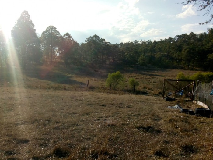 Finca Momostenango - Miniatura 12