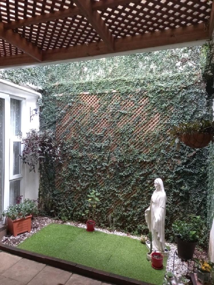 CASA EN VENTA EN LOS OLIVOS ZONA 18 — foto 9