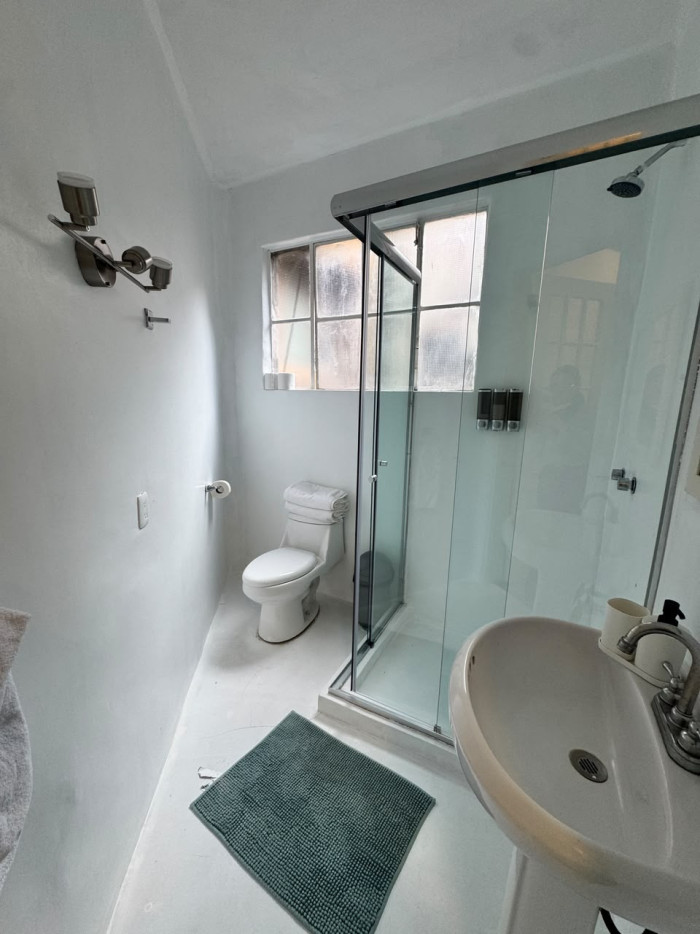 Departamento amueblado en Emilio Castelar en Polanco - 17