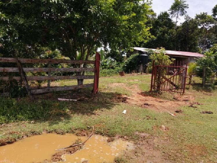 Vendo Finca de 120mnz en Puerto Barrios, Izabal Ref-229 - 9