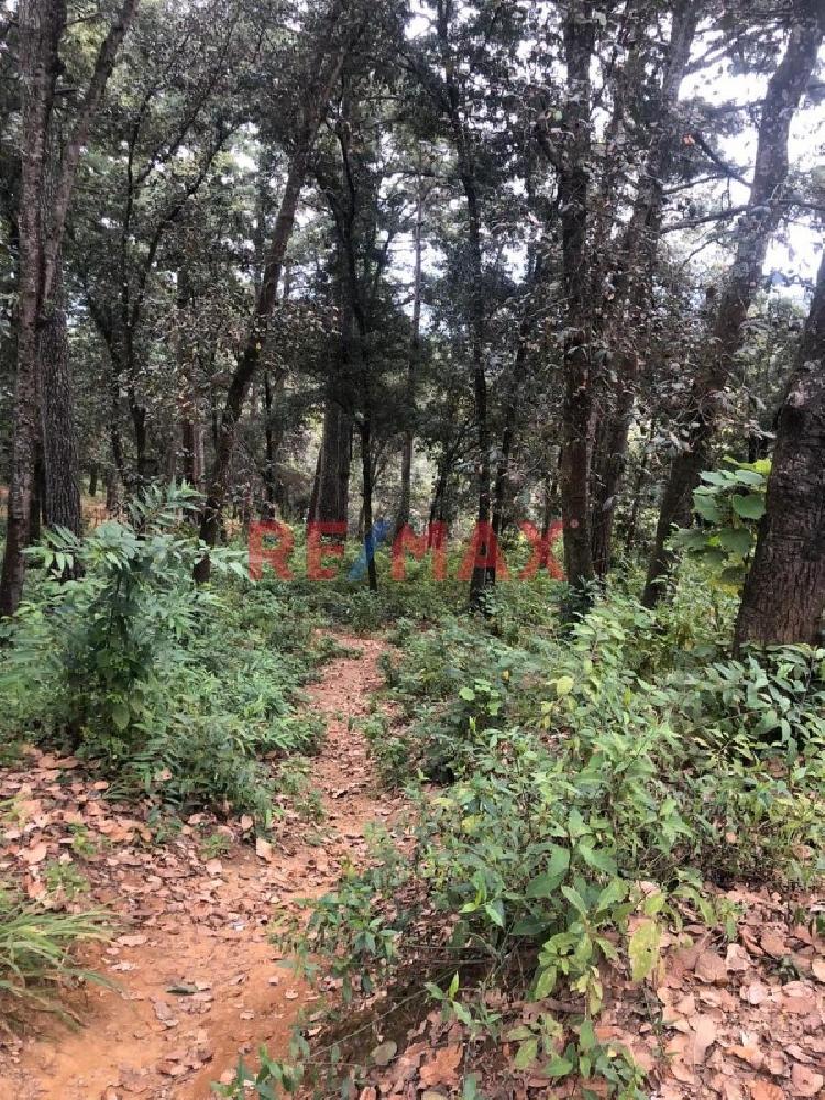 Vendo Terreno en Choacorral San Lucas Sacatepéquez — foto 8