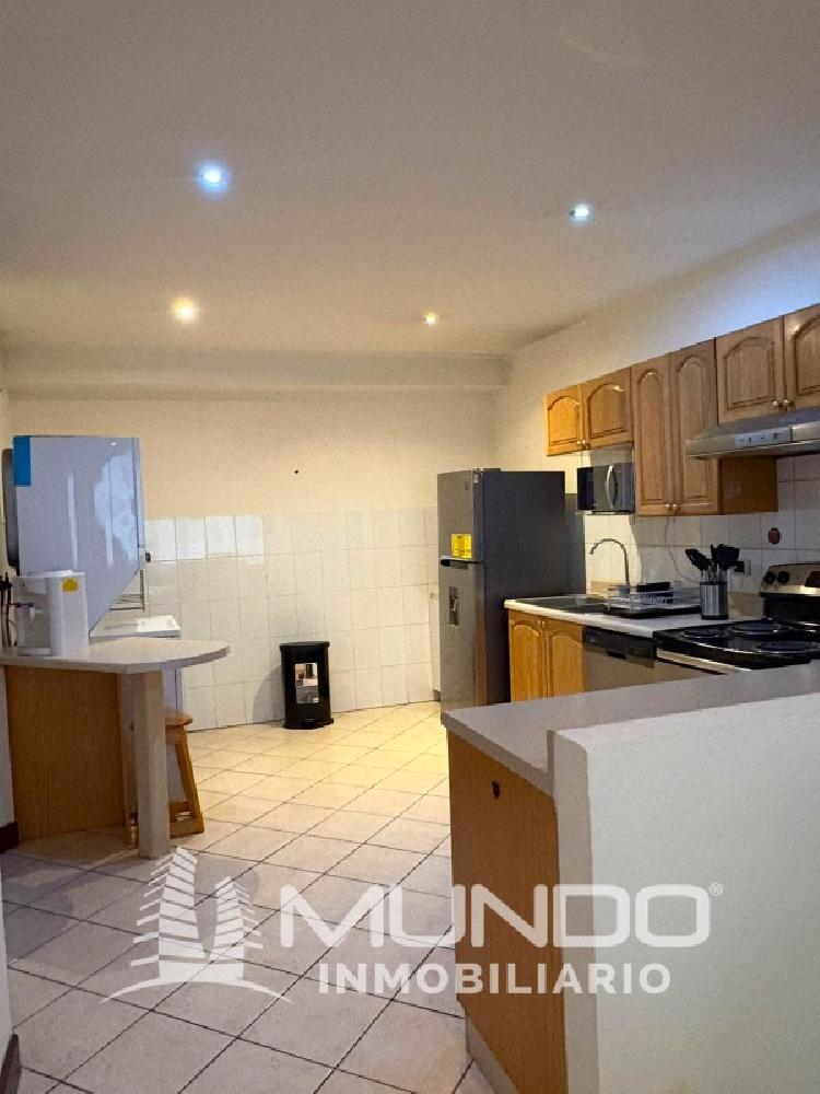 ZONA 10, OAKLAND APARTAMENTO AMUEBLADO EN RENTA — foto 5