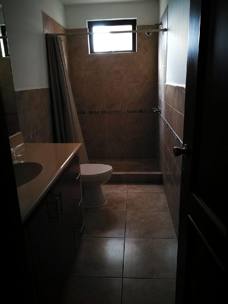 APARTAMENTO EN RENTA, ZONA 14 — foto 11