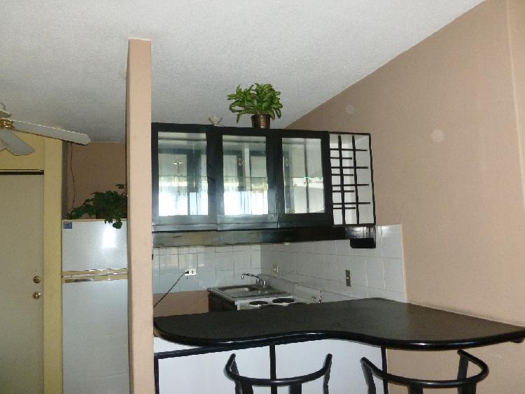 APARTAMENTO EN RENTA, ZONA 9 — foto 7