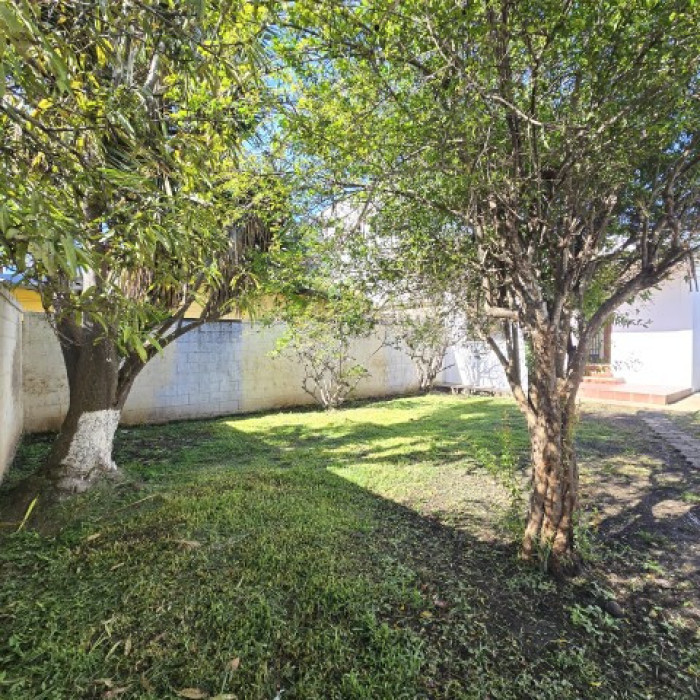 Casa en Renta para Negocio u Oficinas Zona 12 Guatemala — foto 6