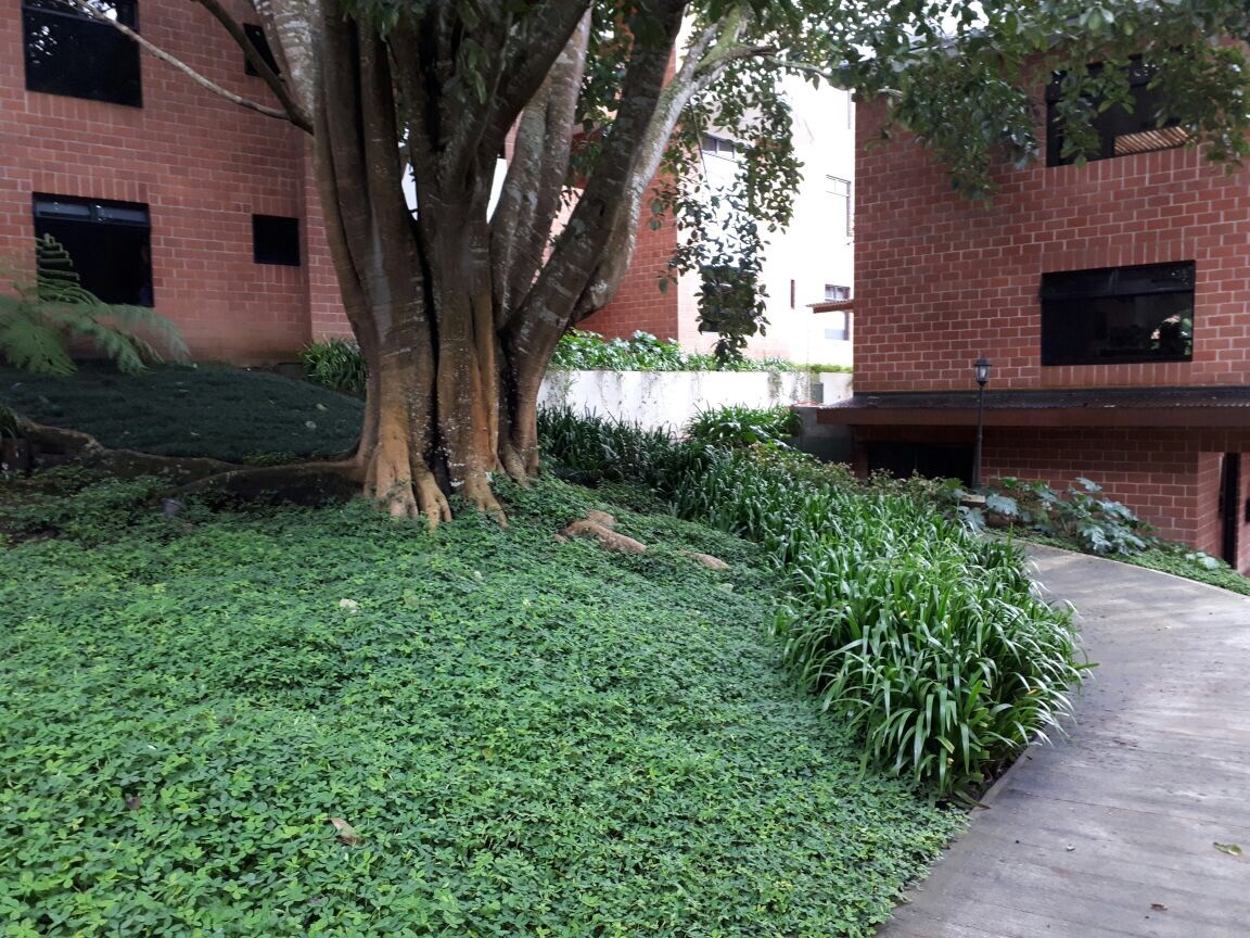Apto. 2 Dorms. 2 parqueos RENTA Q 3,799 — foto 8