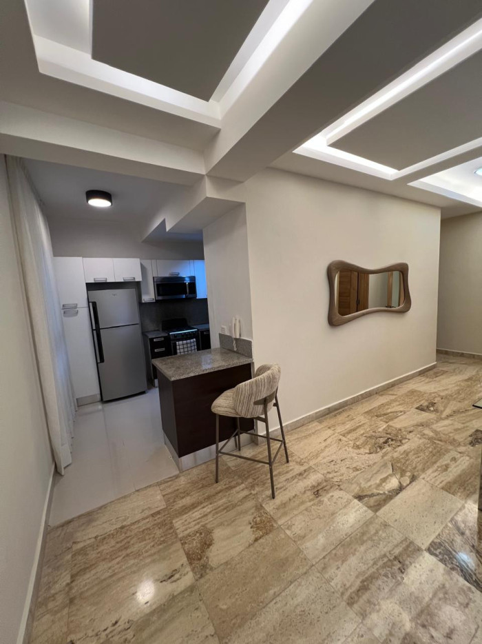 Apartamento amueblado en Venta en Piantini - 6
