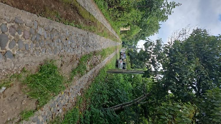 TERRENO EN VENTA MILPAS ALTAS/MUNDO INMOBILIARIO - 8