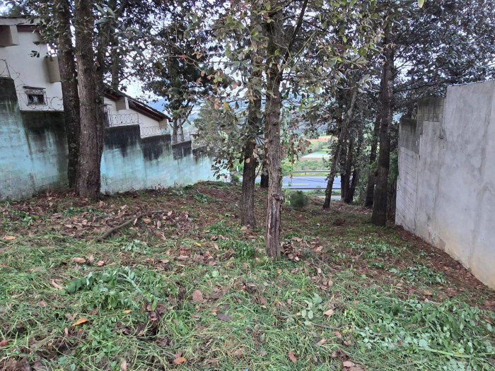 Terreno en #Venta en San lucas — foto 4