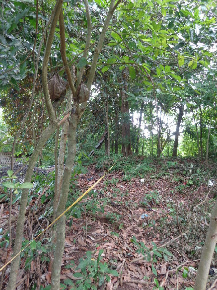 Terreno Escuintla Tiquisate 2 - Miniatura 5