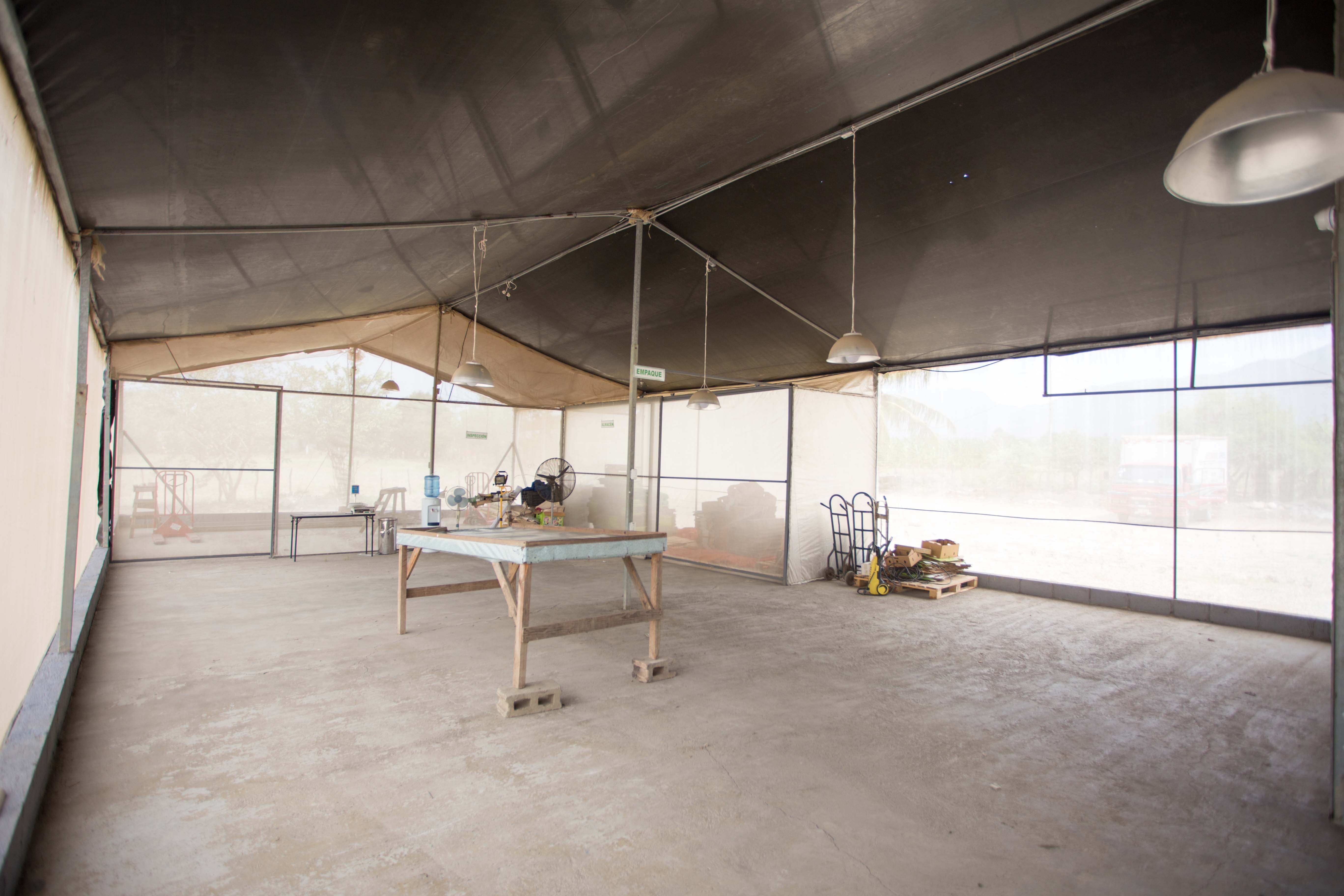 Terreno Proyecto Agricola ubicado en Villa Gonzalez - 5