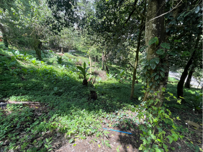 Terreno en venta Vistalvalle, km. 10.5 CAES — foto 2